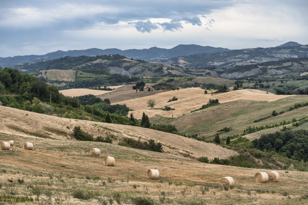 Summer landscape between Guiglia and Bologna by Claudio G. Colombo on 500px.com