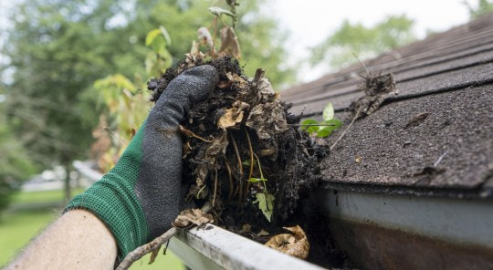 Find Gutter Cleaning Services Near Me