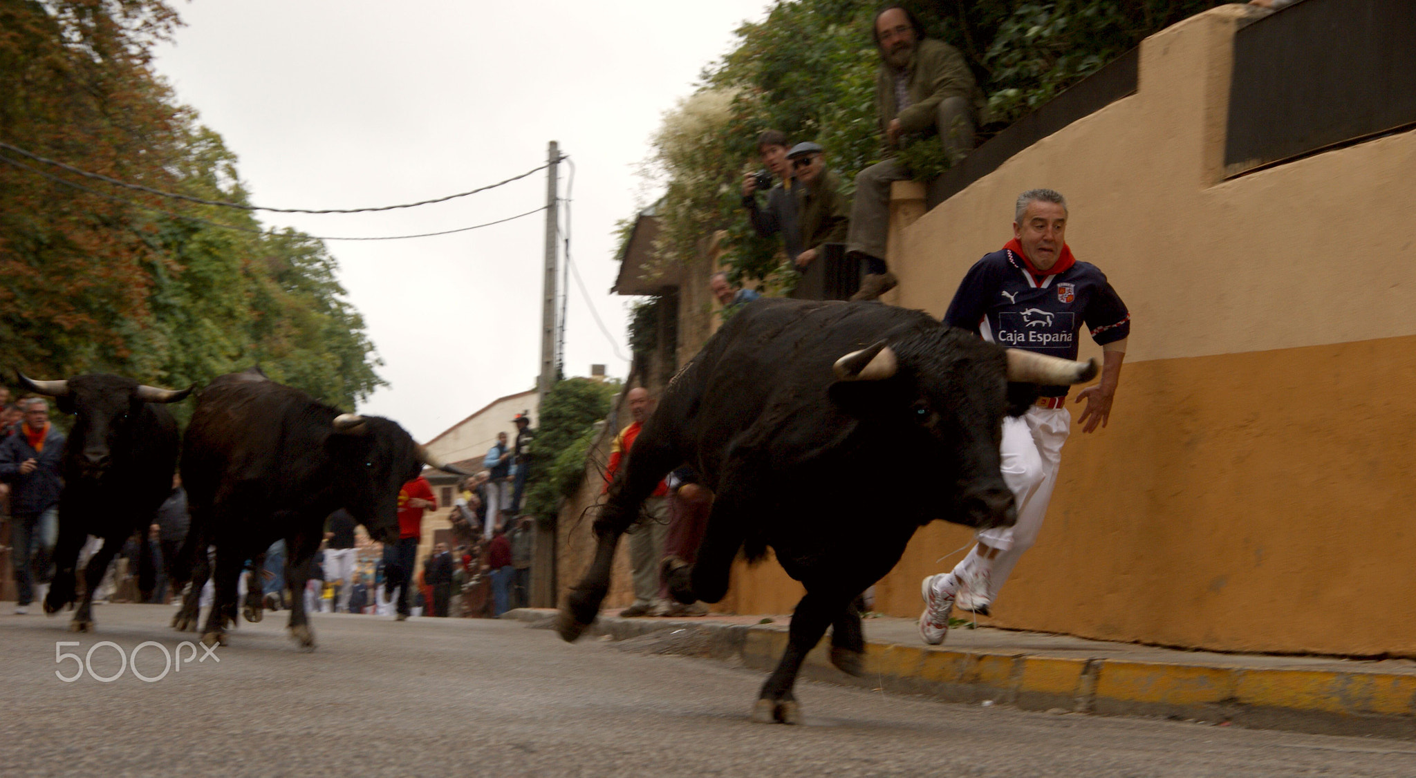 Encierro popular en las calles de Riaza