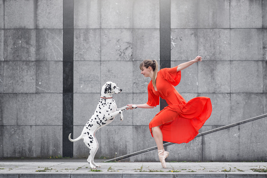 *** by Dimitry Roulland on 500px.com