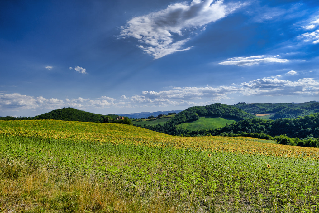 Landscape in Montefeltro near Urbania (Marches, Italy) by Claudio G. Colombo on 500px.com