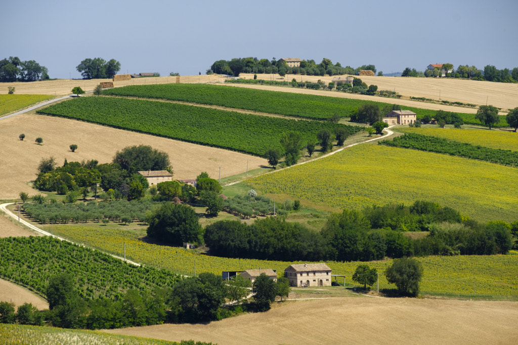 Summer landscape in Marches (Italy) near Appignano by Claudio G. Colombo on 500px.com