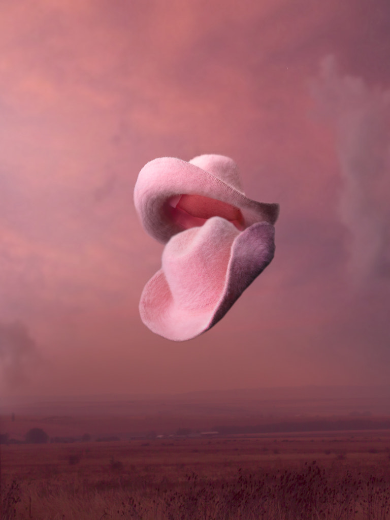 Cowboy Summer by Alex  on 500px.com