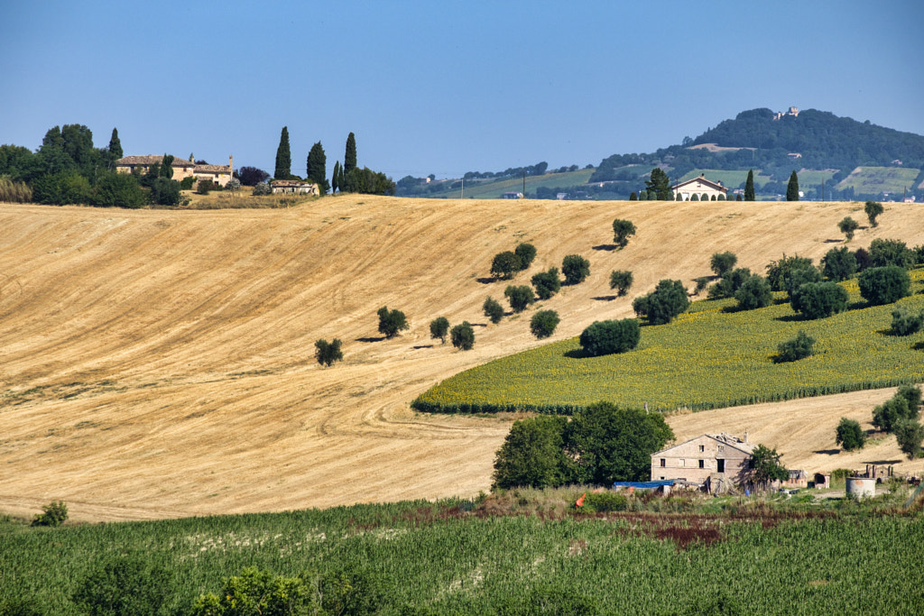 Rural landscape near Recanati (Italy) by Claudio G. Colombo on 500px.com