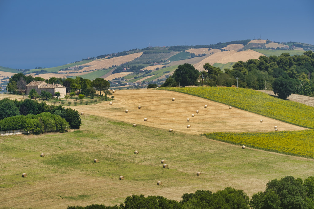Landscape near Sant'Elpidio a Mare (Marches, italy) by Claudio G. Colombo on 500px.com