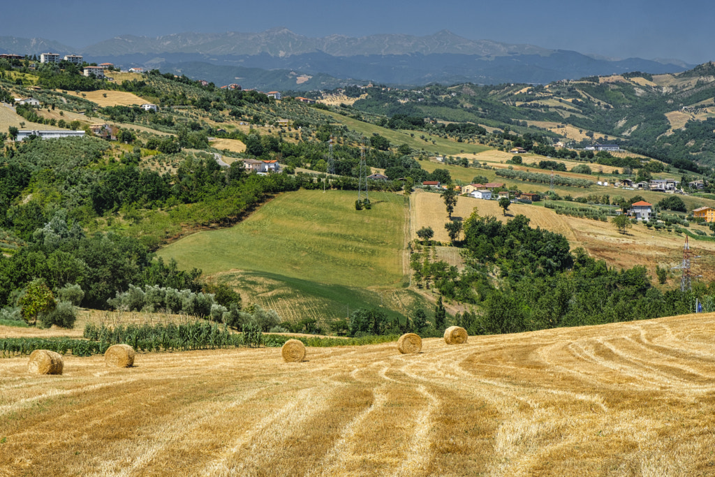 Landscape near Teramo (Abruzzi) at summer by Claudio G. Colombo on 500px.com