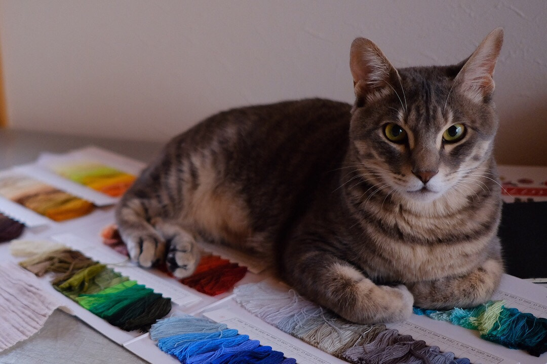 v2?sig=dc484f5c15e0dcfd599b50fc9c42d17c1b1bb5e2ee19841023a8f4252cd03847