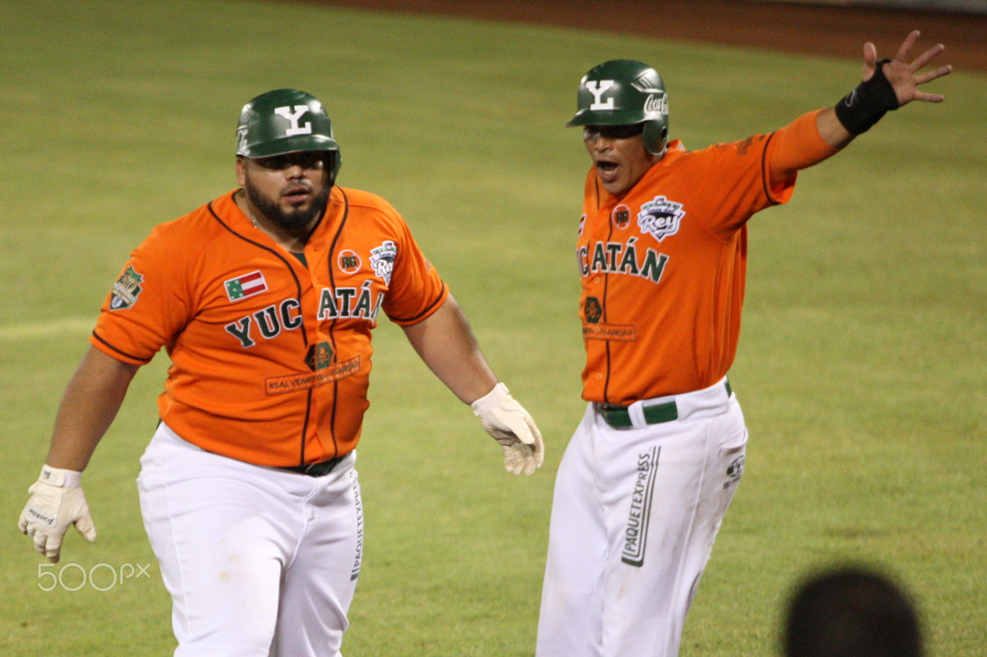 Leones de Yucatán, serie del Rey de LMB