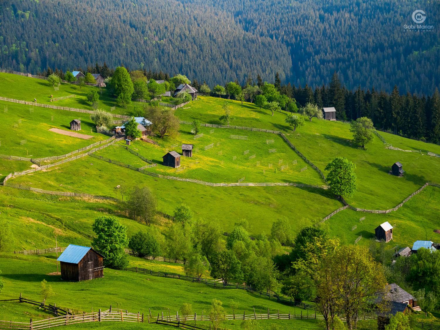 Gardens of Bucovina