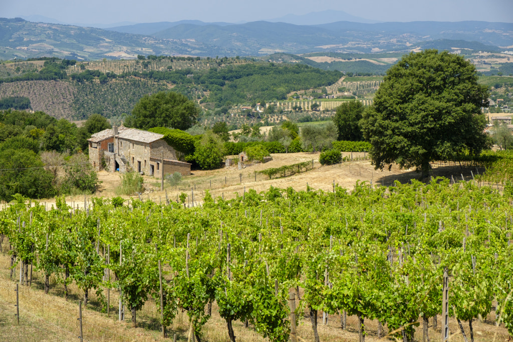 Country landscape from Orvieto to Todi, Umbria, Italy by Claudio G. Colombo on 500px.com