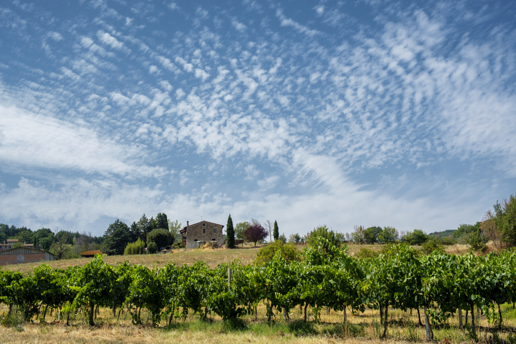 Country landscape from Orvieto to Todi, Umbria, Italy by Claudio G. Colombo on 500px.com