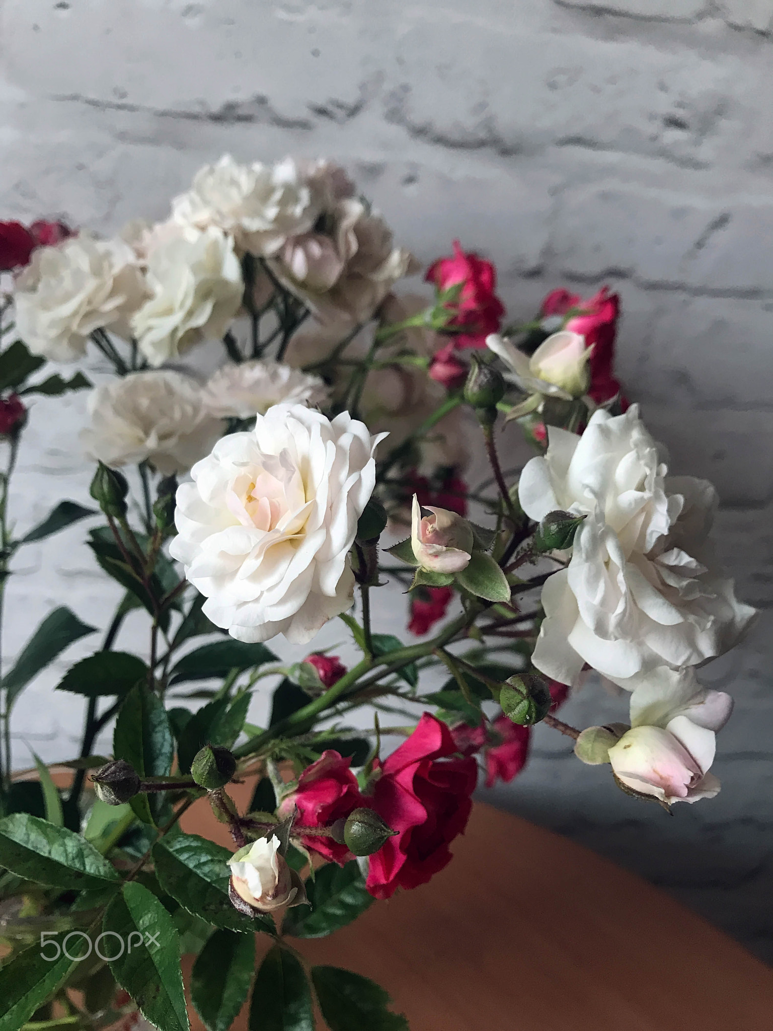 White and red roses in a vase