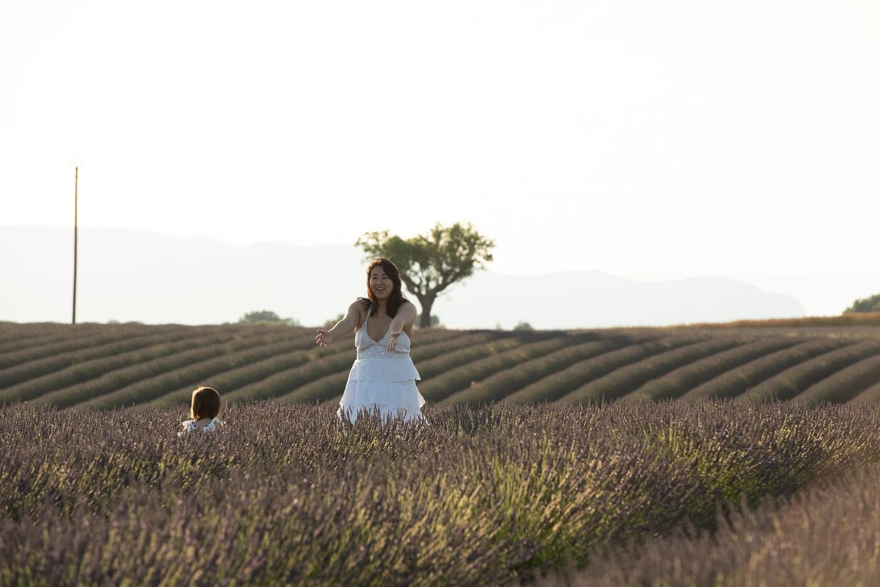 Our New Lavender Editing Presets and Actions