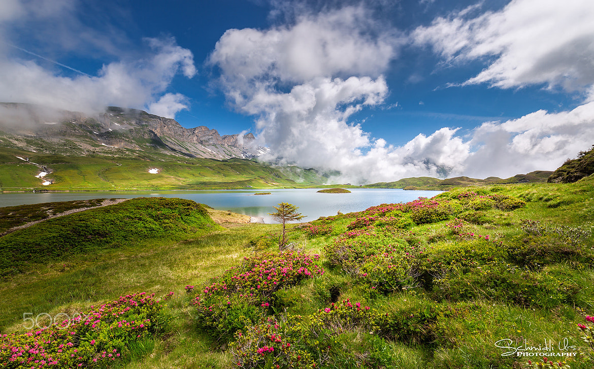 Urs Schmidli (urs-schmidli) Photos / 500px