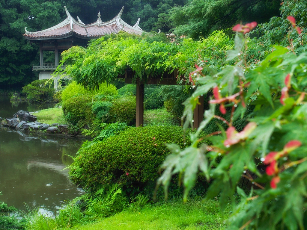 聖地巡礼 言の葉の庭 のロケ地巡り 雨に彩る初夏の新宿御苑 Fotoreiser