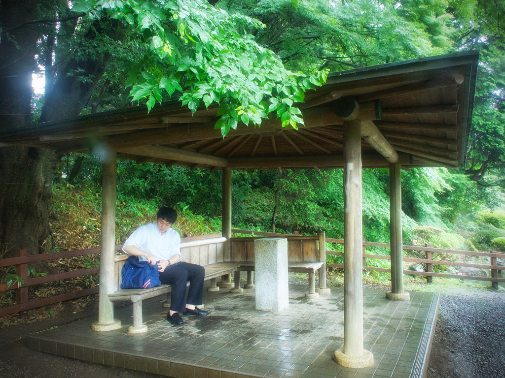 聖地巡礼 言の葉の庭 のロケ地巡り 雨に彩る初夏の新宿御苑 Fotoreiser