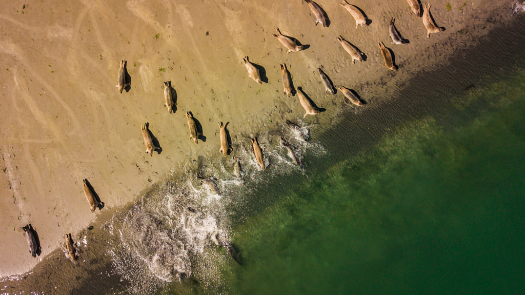 Cooldown by Marco van El on 500px.com