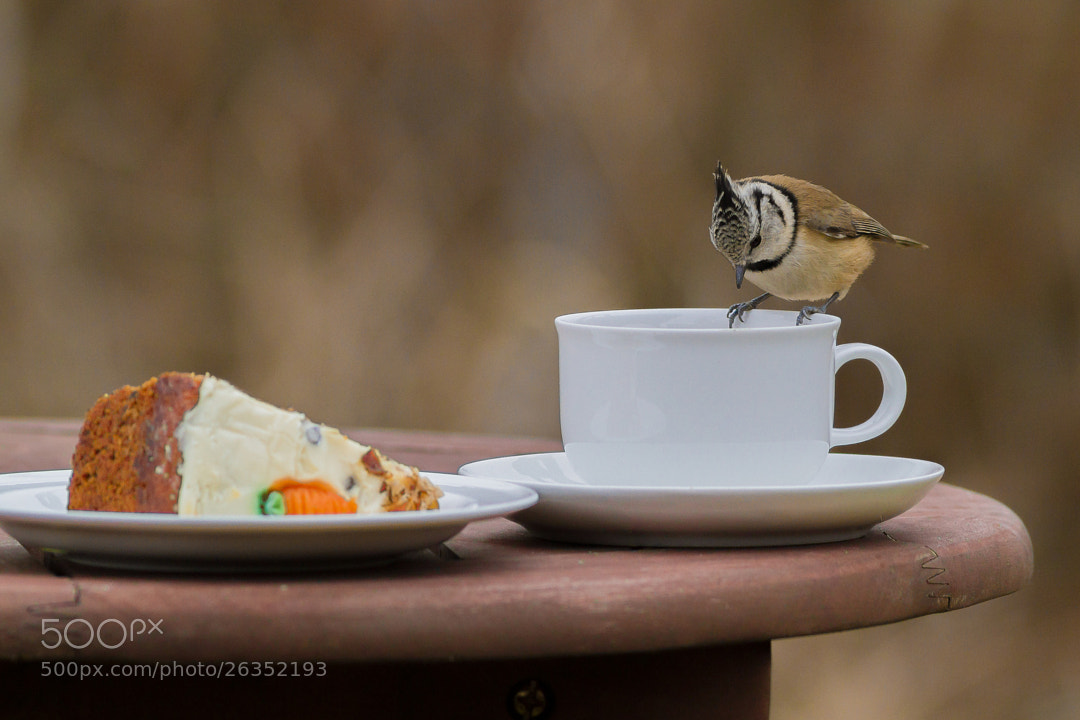 Where's My Coffee?