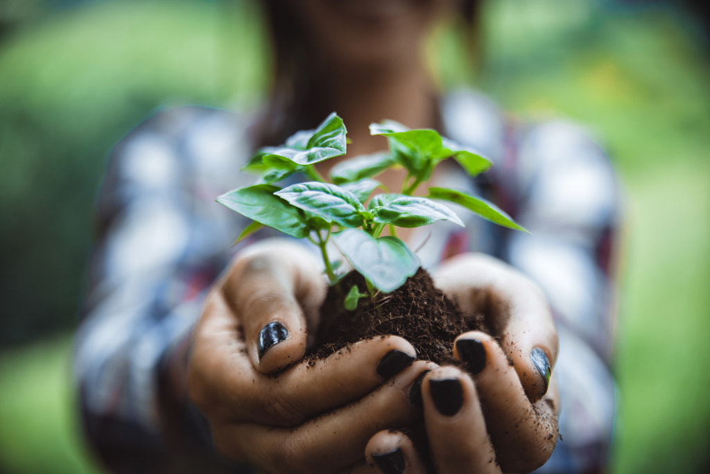 Hands showing little buds in the soil by Cristian Negroni on 500px.com