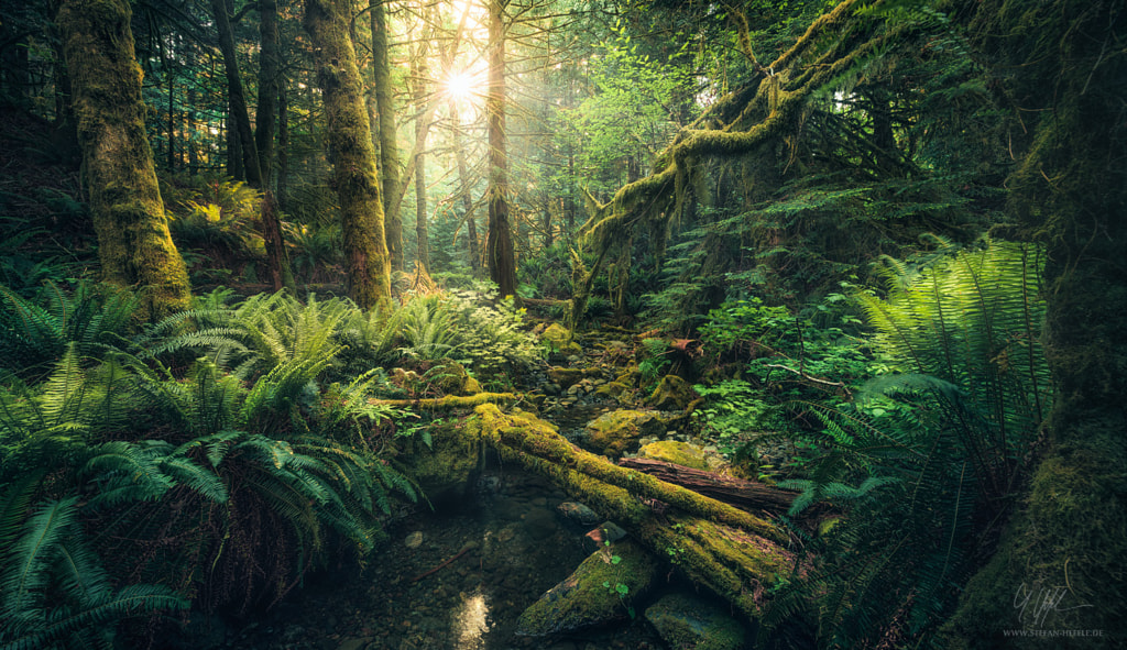 Elves Cathedral by Stefan Hefele on 500px.com