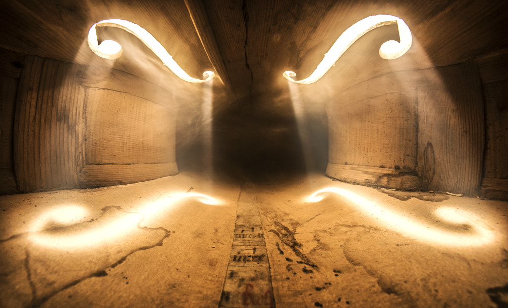 Inside a Cello by Adrian Borda on 500px.com