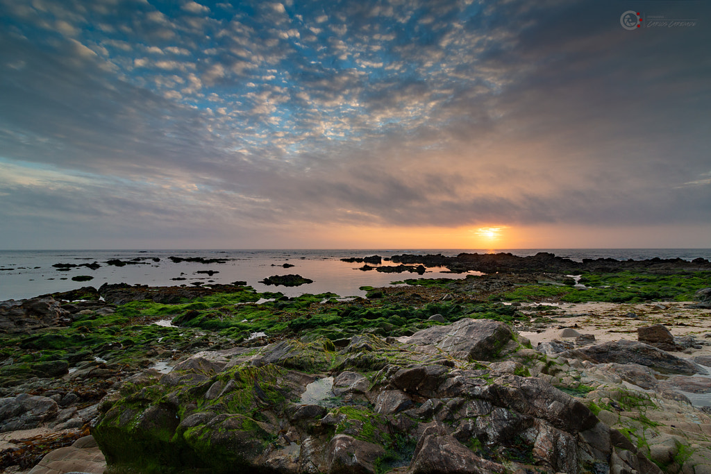 IMAGE: https://drscdn.500px.org/photo/264105179/m%3D900/v2?user_id=2170339&webp=true&sig=950f5b4a2018b2ae3dcb12635245cb244f1bc7272f54de0973fbe9f70f0daf4d