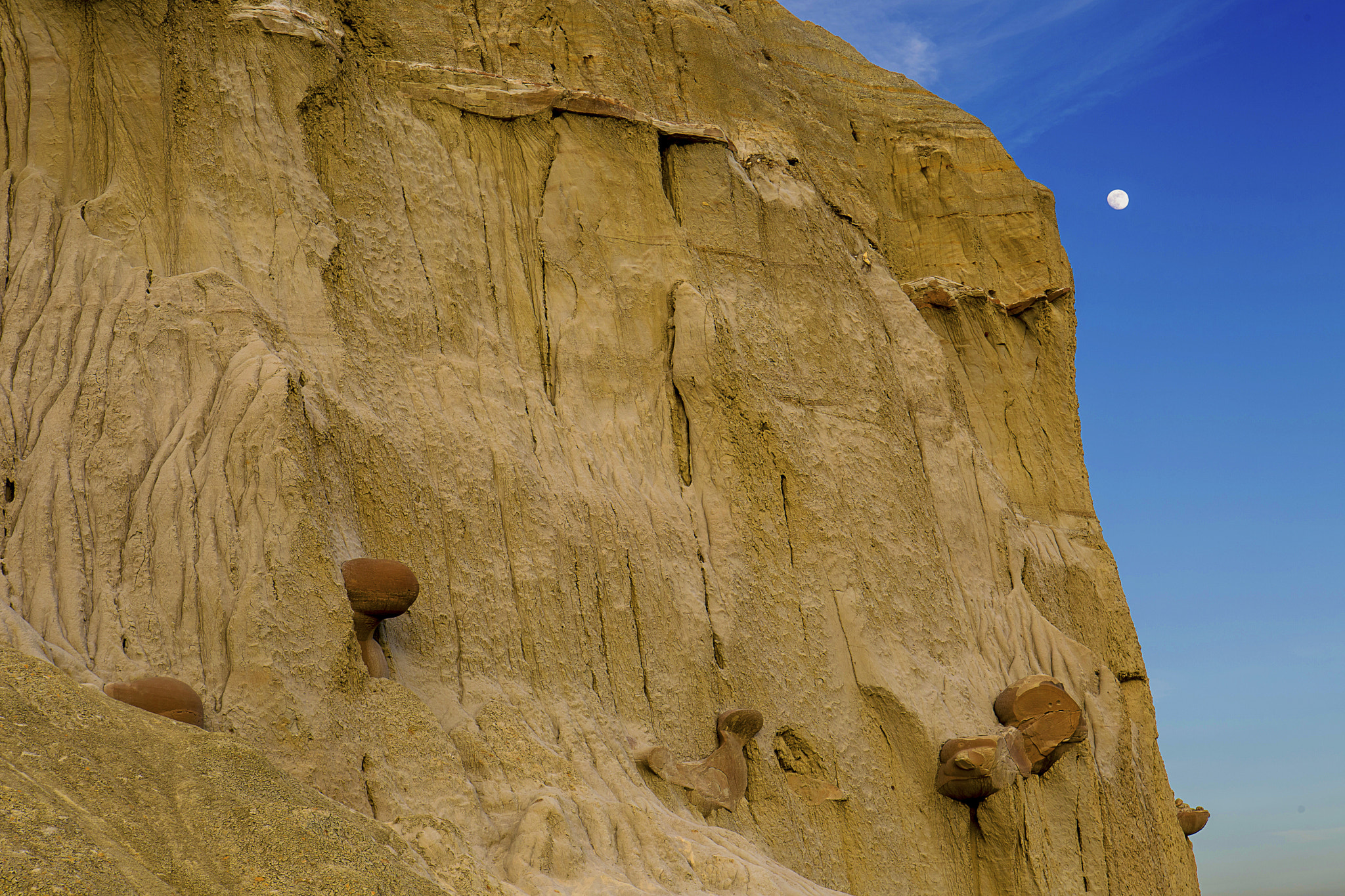 North Dakoda, Theodore Rooseveil National Park(Nouth), Cannonbal