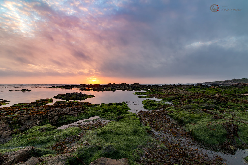 IMAGE: https://drscdn.500px.org/photo/264209323/m%3D900/v2?user_id=2170339&webp=true&sig=5fb9dfba23328694113a5ccabde86a16cede40dd2734a36daf42505f76520882