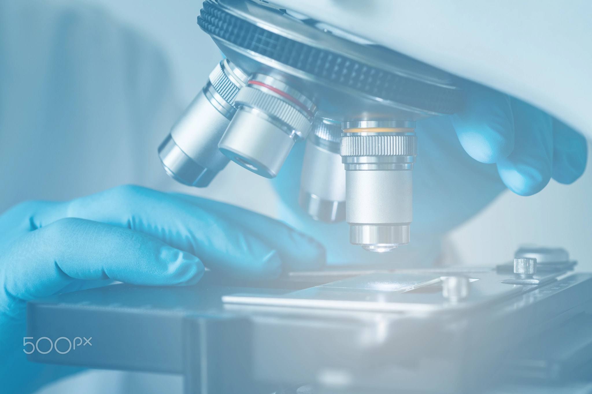 Microscope close-up shot in the laboratory