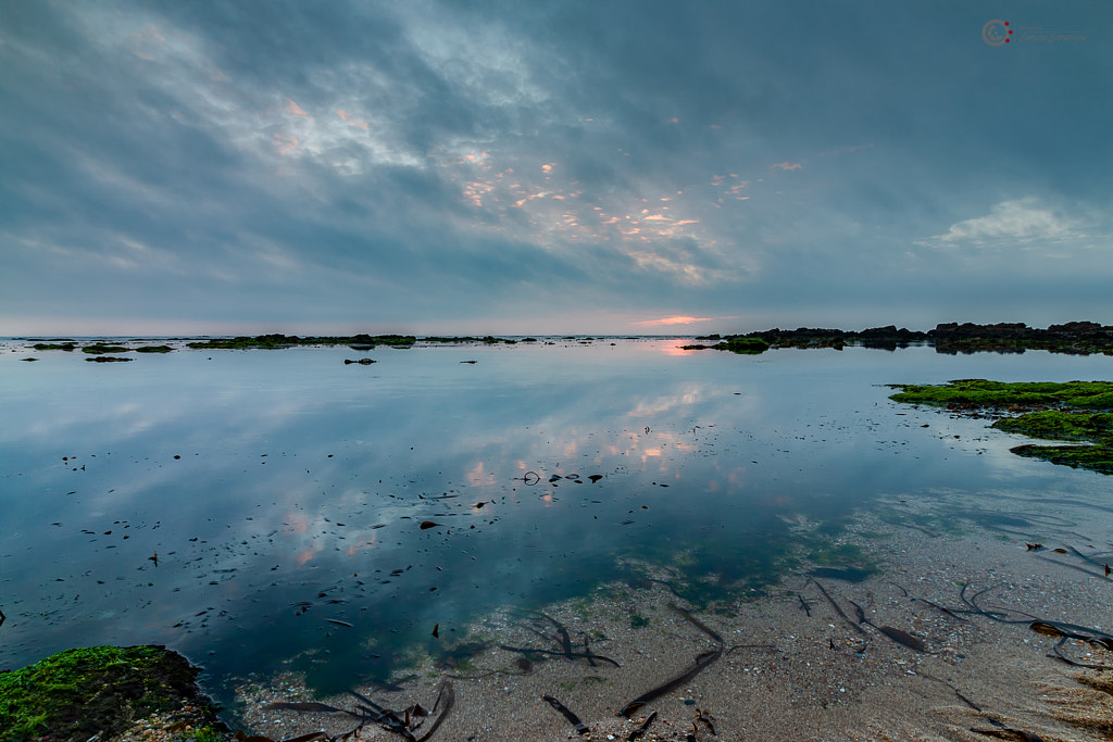 IMAGE: https://drscdn.500px.org/photo/264292285/m%3D900/v2?user_id=2170339&webp=true&sig=81958657b489ea1ac5003aa2f03df99613482f10369bafac855cb7d4960fb84e