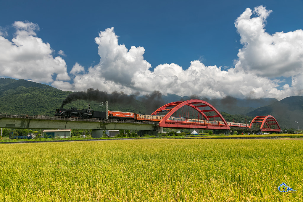 2018 SL Summer Formosa by Kelvin Chen on 500px.com