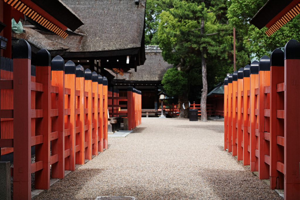 500px.comのfotois youさんによるSumiyoshi Taisha Shrine, Osaka