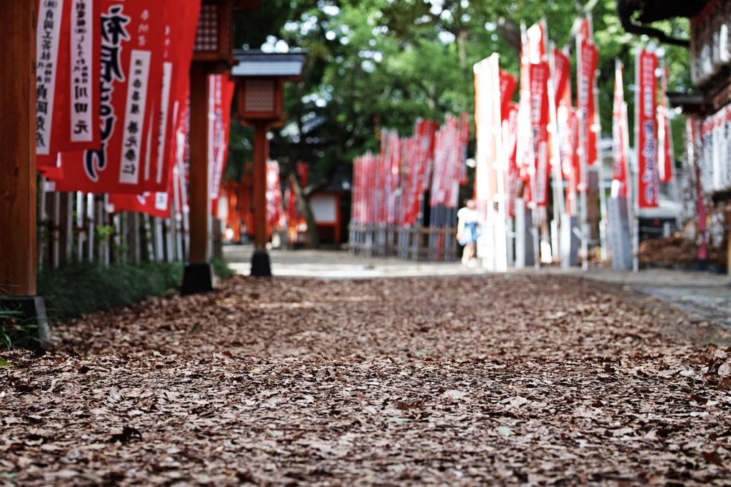 500px.comのfotois youさんによるSumiyoshi Taisha Shrine, Osaka