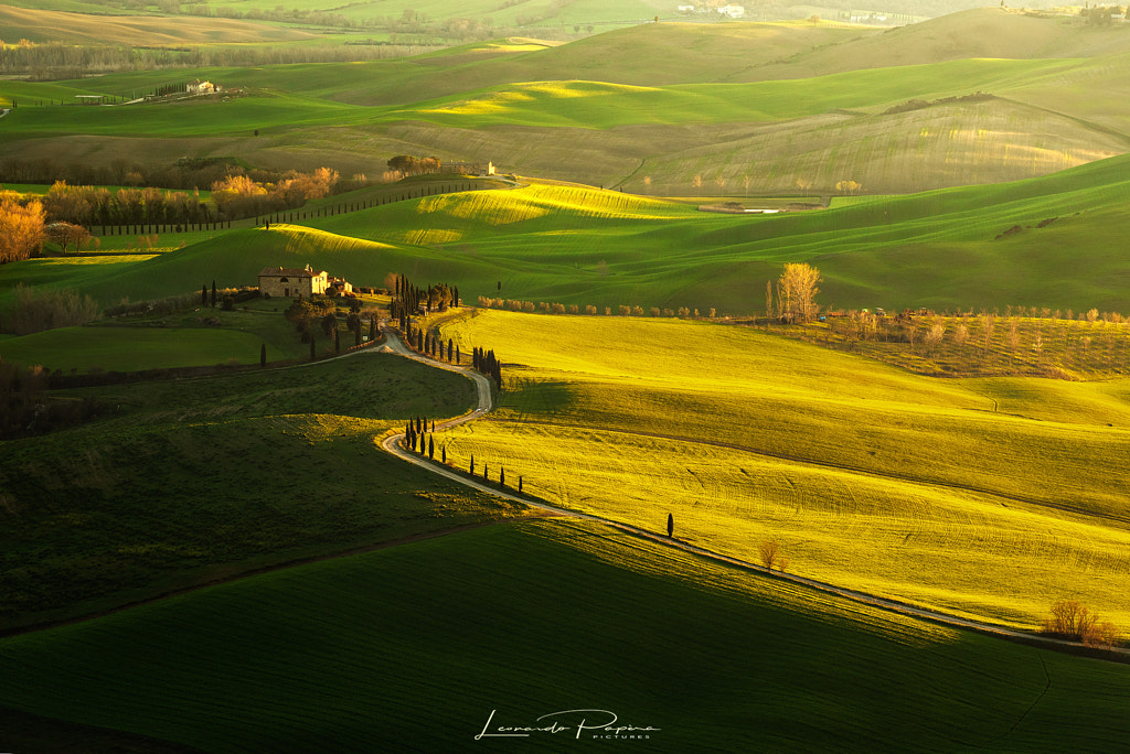 Take a Walk on the Country Side by Leonardo Papèra on 500px.com