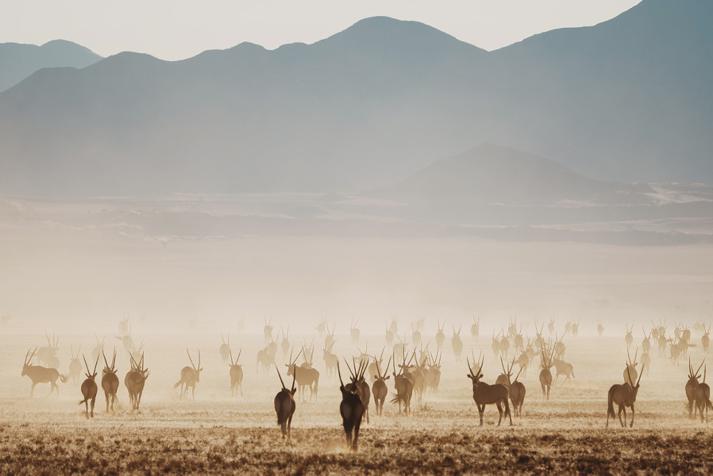 Namibia by Emilie Ristevski on 500px.com