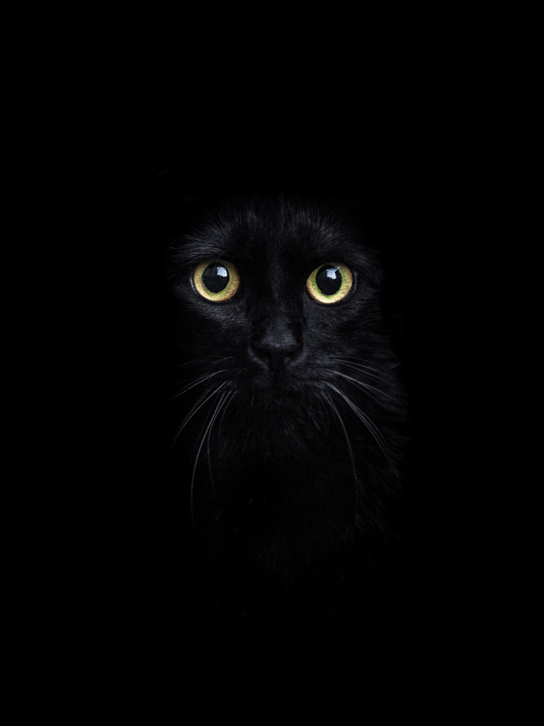 yellow on black by alexander kan on 500px.com