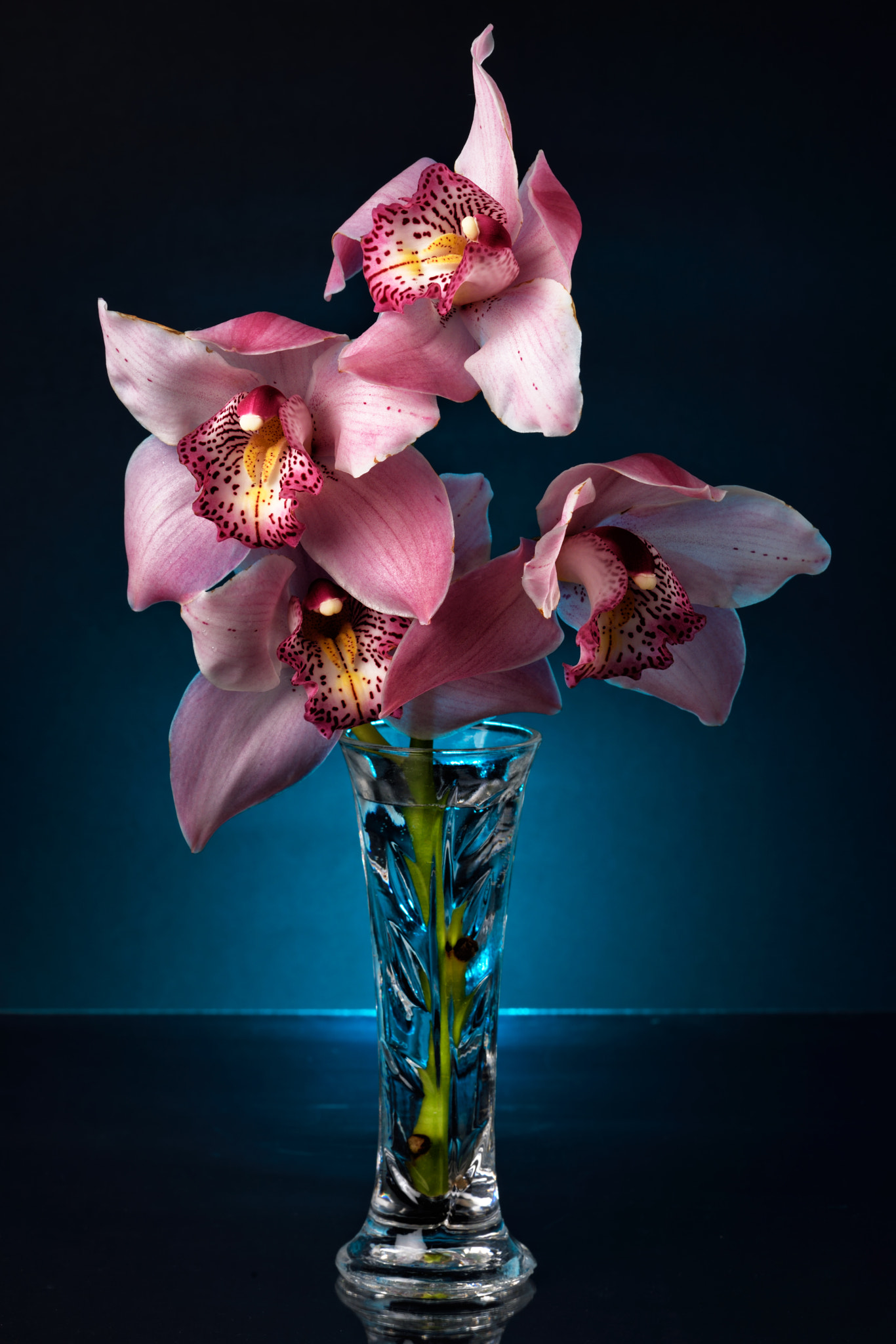 Lovely Still Life CCXVI