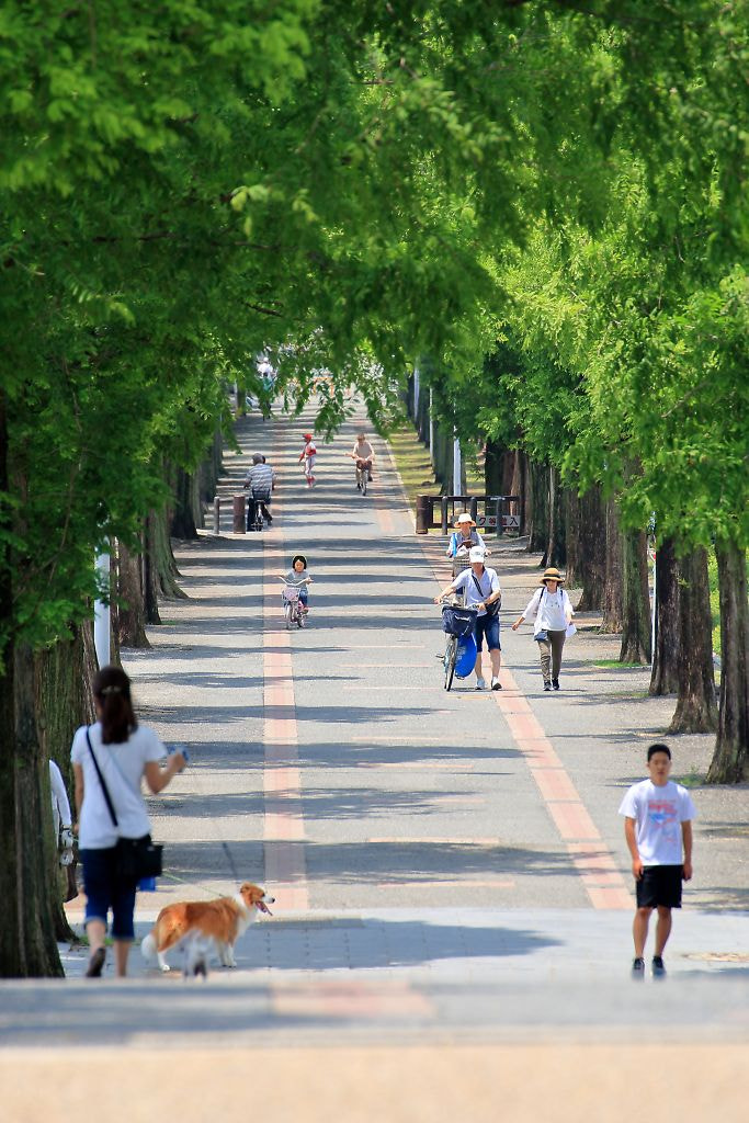 v2?sig=0a24968c80e5fe85b0fae7acd77993239