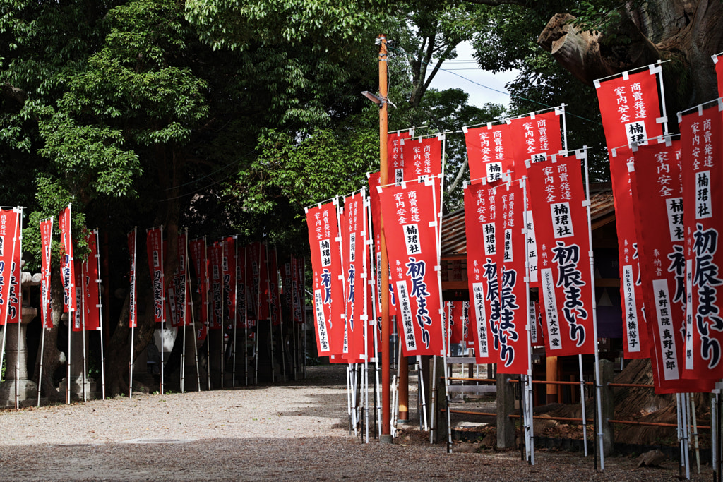 500px.comのfotois youさんによるSumiyoshi Taisha Shrine, Osaka