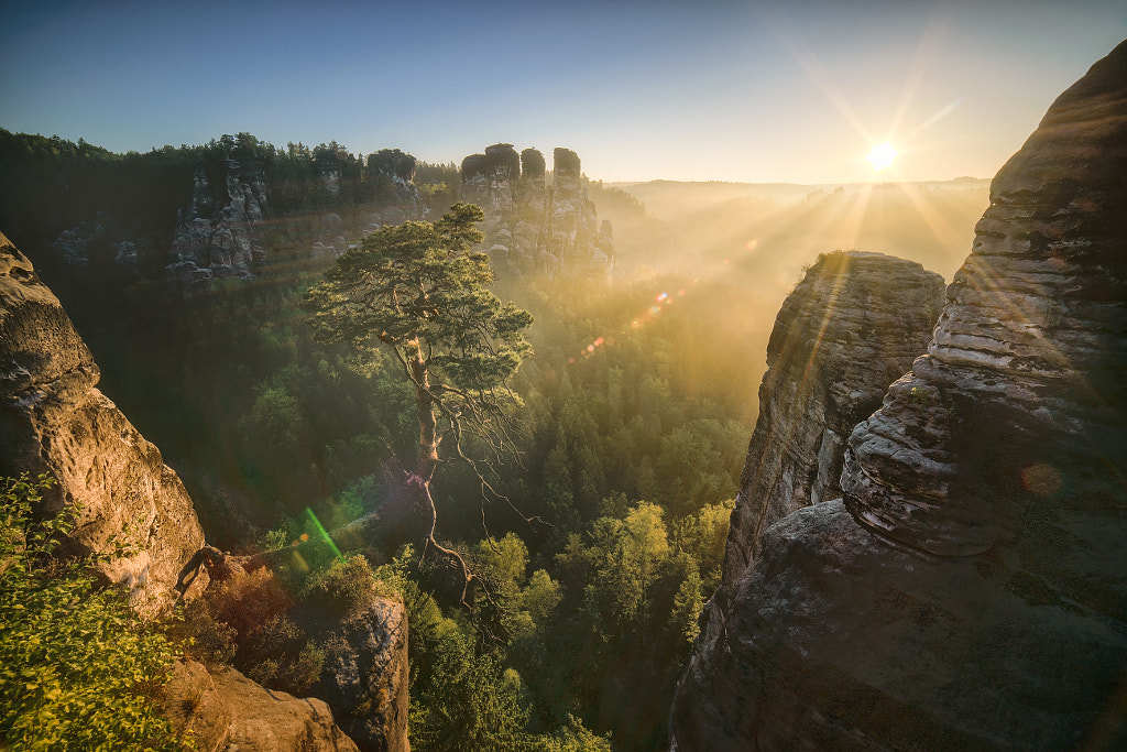 2017-3083 Bastei Wetterkiefer Sunrise by Manuel Gomera Deaño on 500px.com