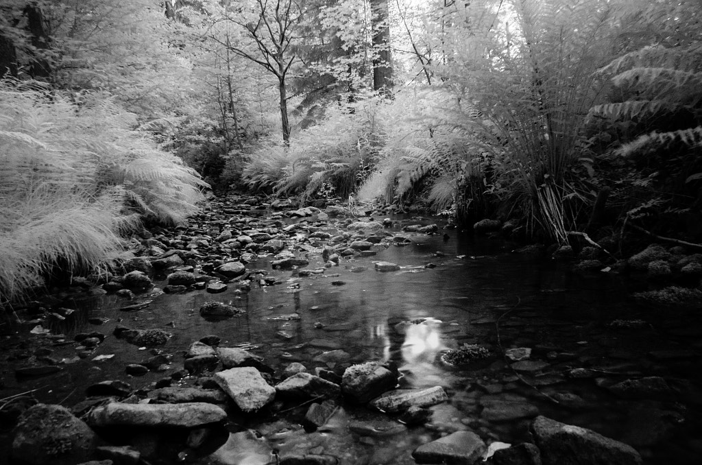 creek II von dirk derbaum auf 500px.com