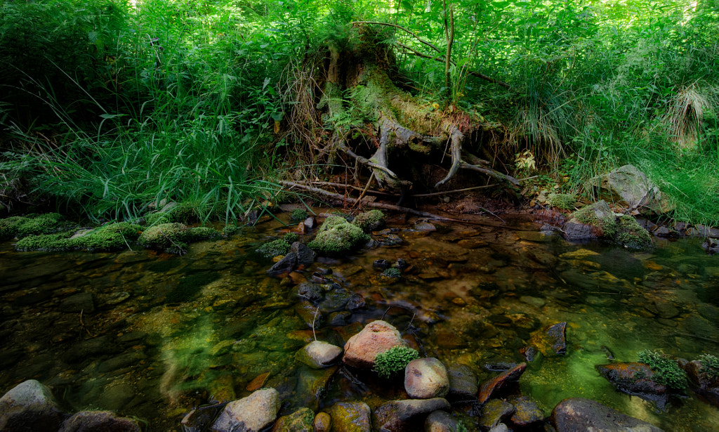 creek III von dirk derbaum auf 500px.com