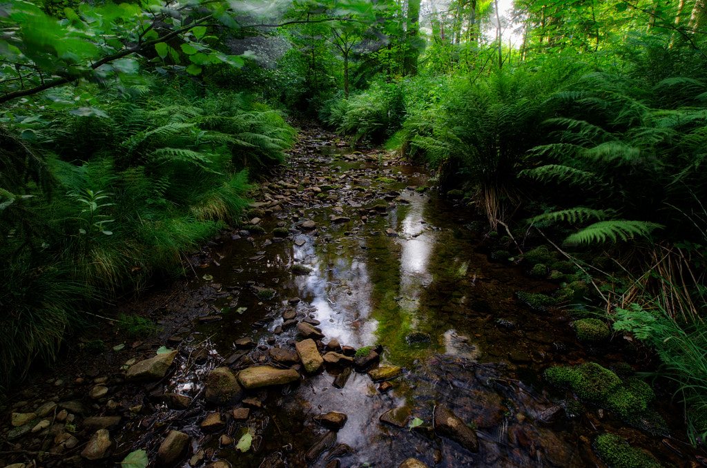 creek IV von dirk derbaum auf 500px.com