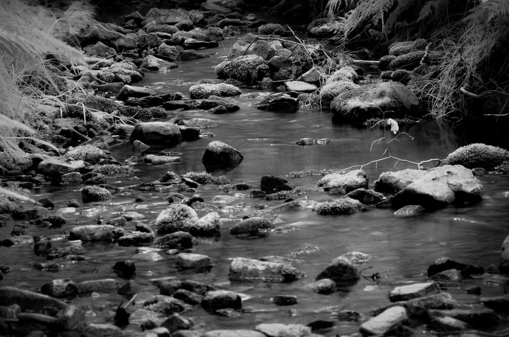 creek von dirk derbaum auf 500px.com