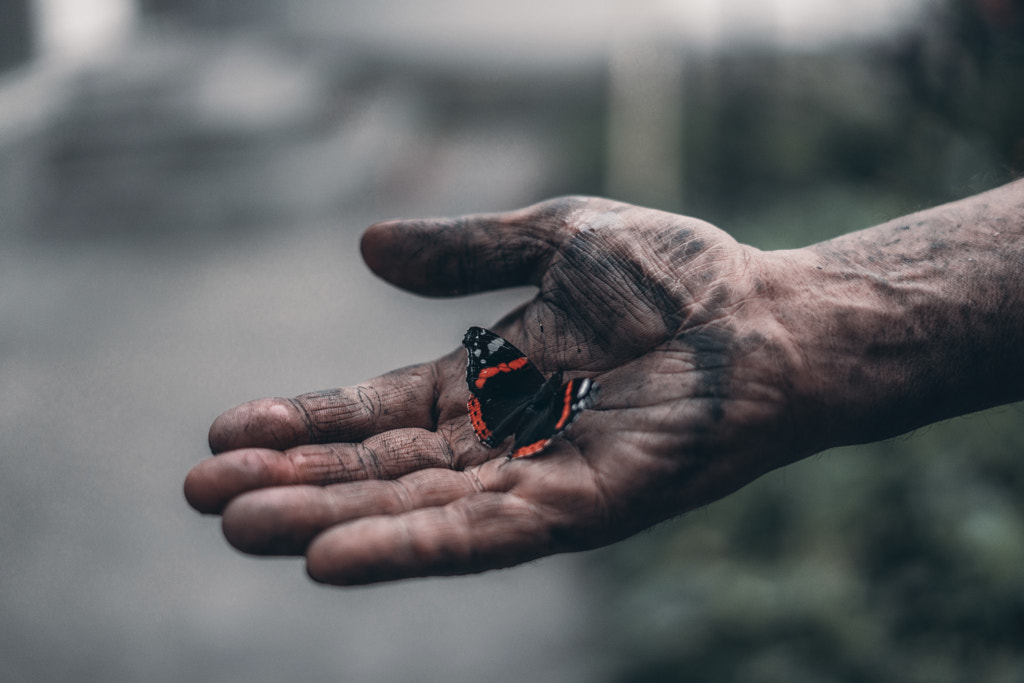 dirty man's hand holds a beautiful butterfly by Elijah Kolodribsky on 500px.com