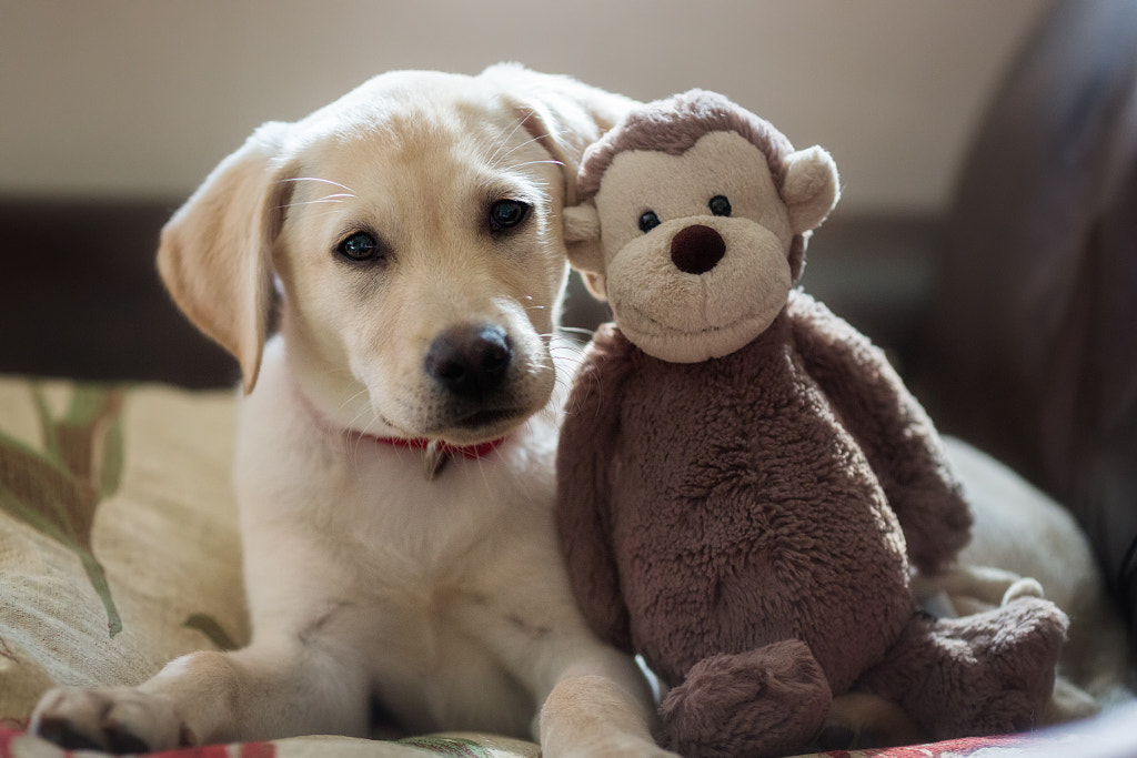 IMAGE: https://drscdn.500px.org/photo/265163789/m%3D900/v2?user_id=531773&webp=true&sig=d46e84bfddd417ed1d6a824f64a8bfbefd6a5cb6bd02707d7fe20eb88db68620