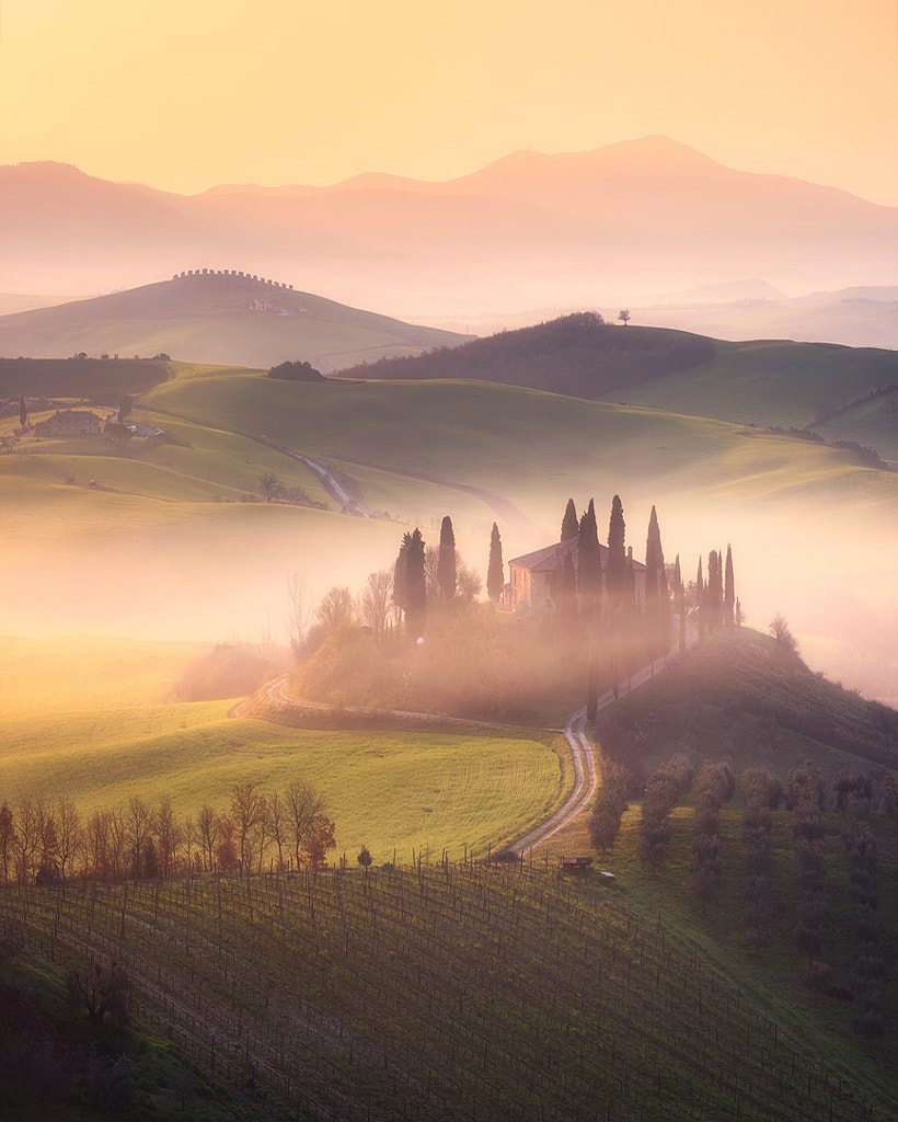 Golden Tuscany by Daniel Fleischhacker on 500px.com