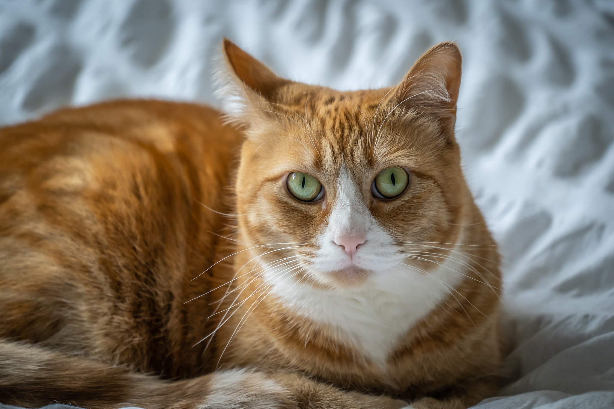 v2?sig=111c856a5044fd7e587311ebac9d692ad4014ef95ac6774e0390200956442d4c