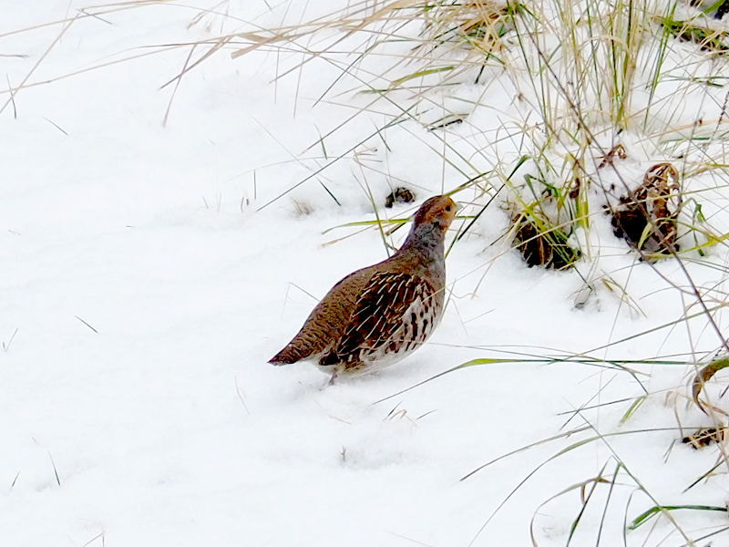  ,   Kancstc TheEvilOne  500px.com