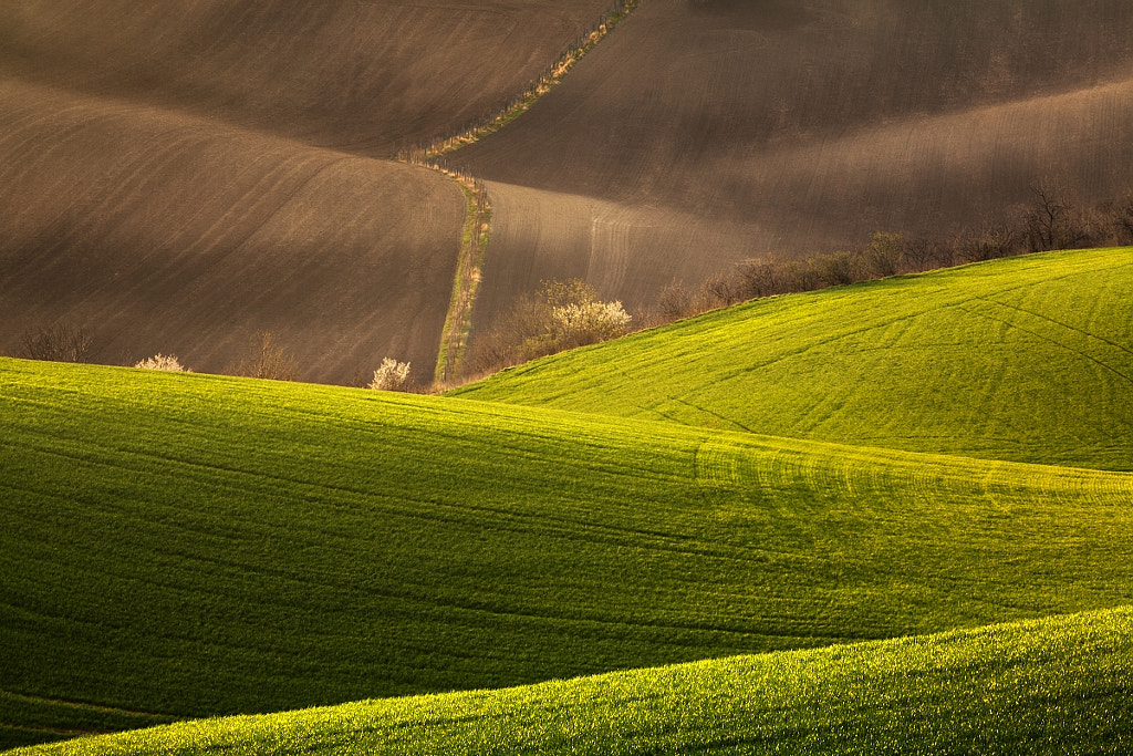 Moravian waves by Daniel Řeřicha on 500px.com